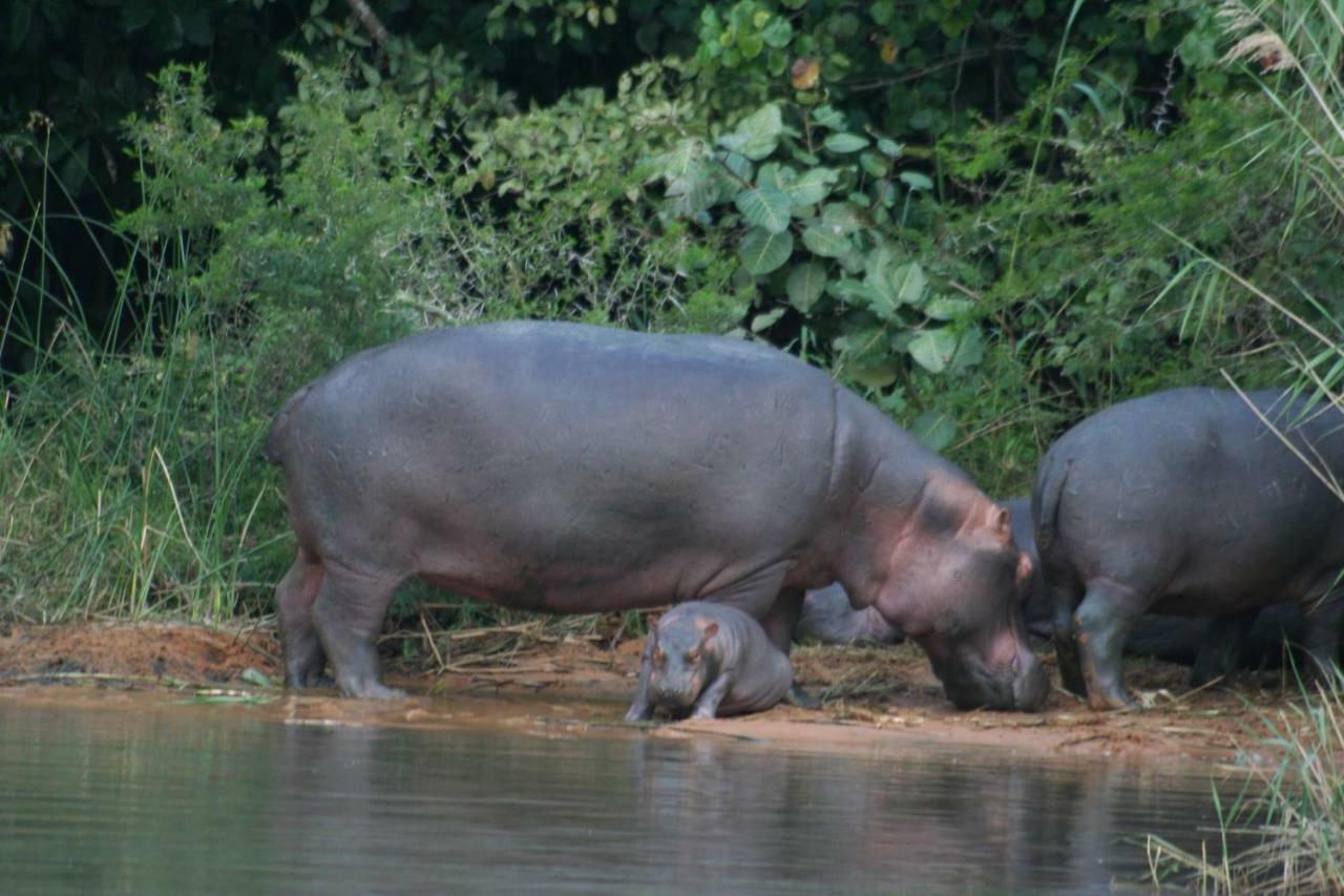 Saint Lucia Estuary 4 The Bridge 아파트 외부 사진