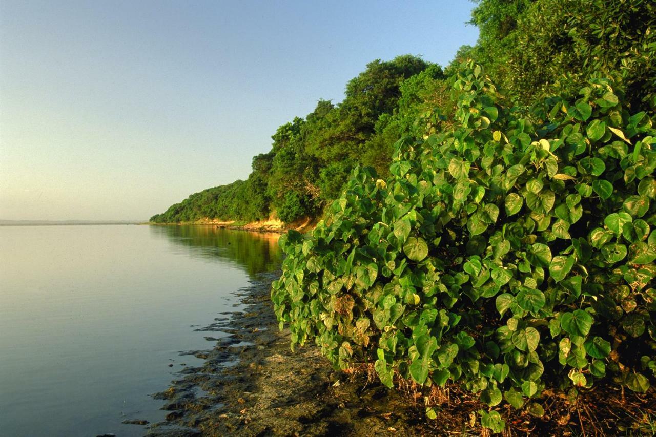 Saint Lucia Estuary 4 The Bridge 아파트 외부 사진