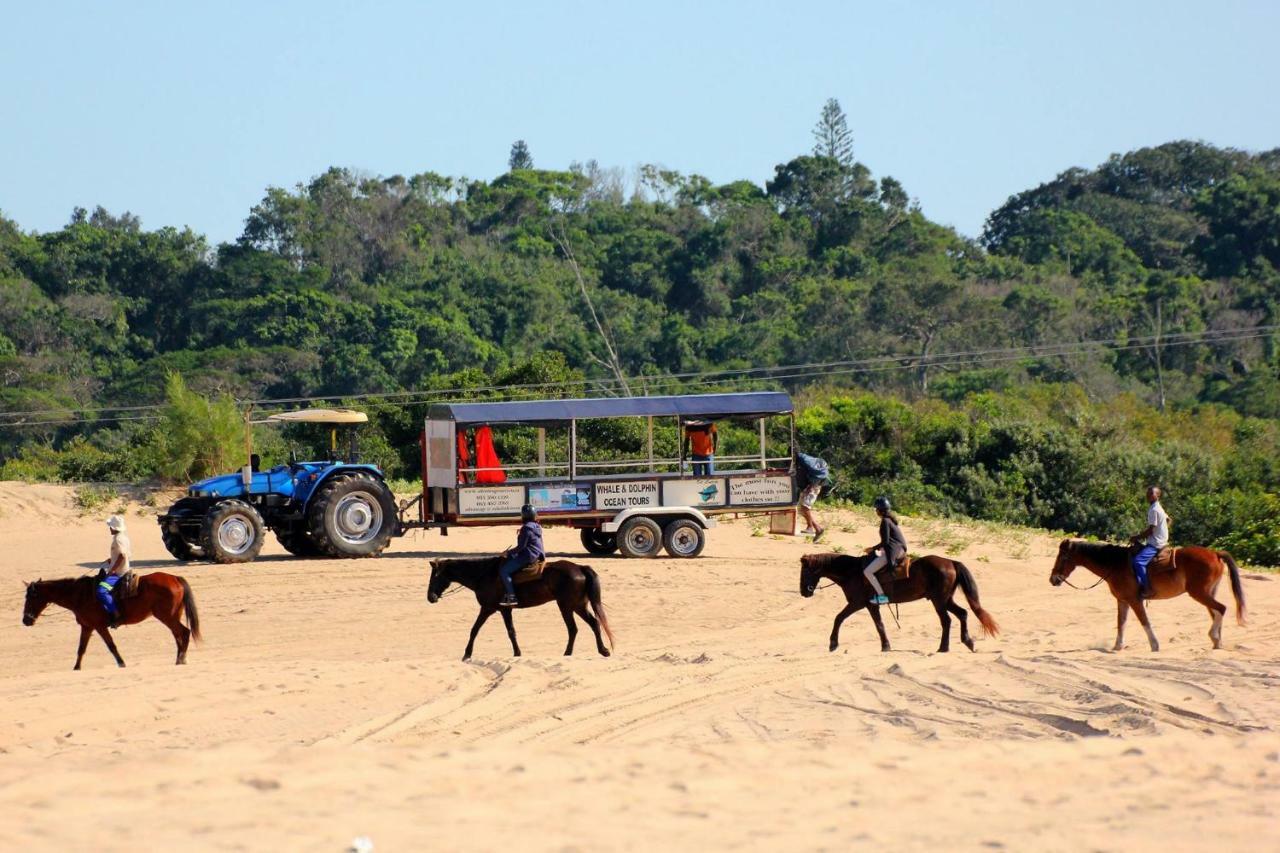 Saint Lucia Estuary 4 The Bridge 아파트 외부 사진